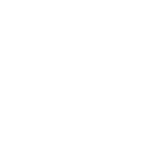 DanceBUG logo