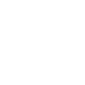 Video Judge logo